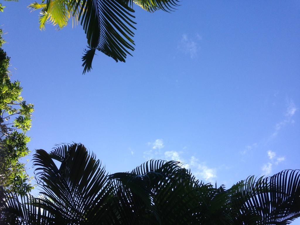 Ryan'S Rest Boutique Accommodation Cairns Bagian luar foto
